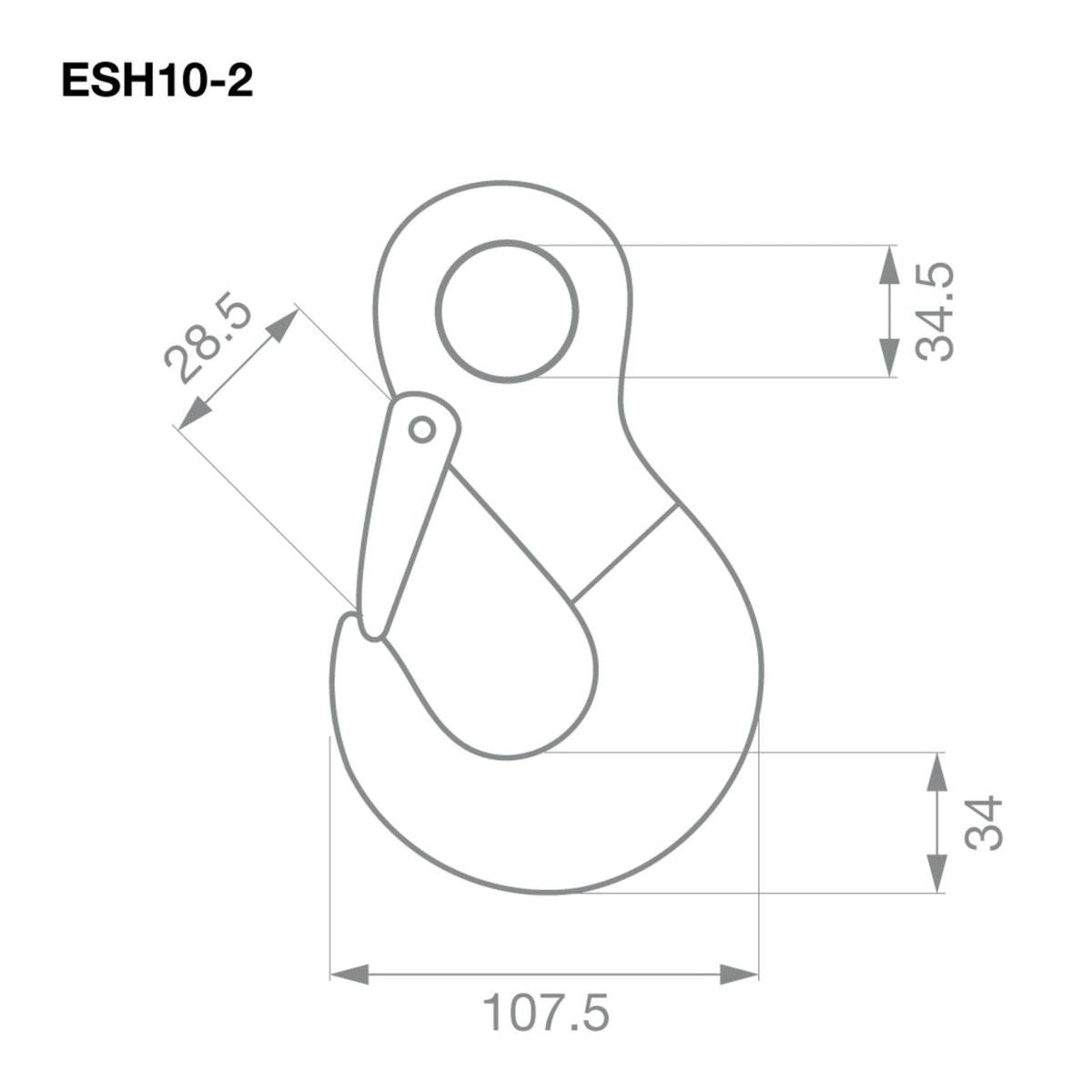 TAG - Eye Sling Hook G80 10mm 3.15T (Pair)